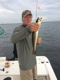 3 inshore slams and limits of mangrove s