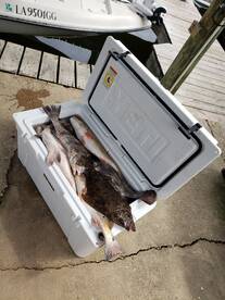 Can't Close The Cooler !!!