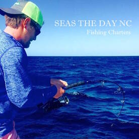 The Cobia Are Here!!!