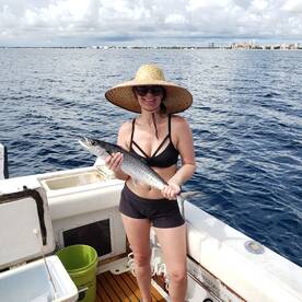 Small Spanish mackeral