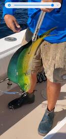 Neptune City Report Photo 2