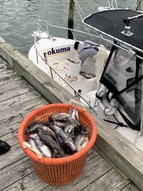 Neptune City Report Photo 2