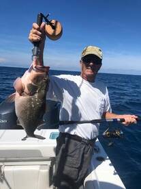 Red Grouper