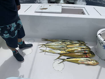 Fort Lauderdale Report Photo 1