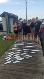 Nags Head Report Photo 2