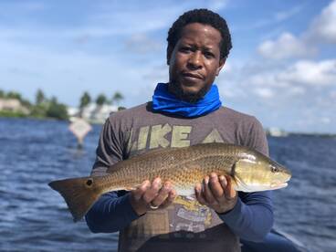 Sarasota Report Photo 1