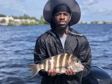 Sarasota Report Photo 2