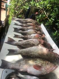 Venice Report Photo 1