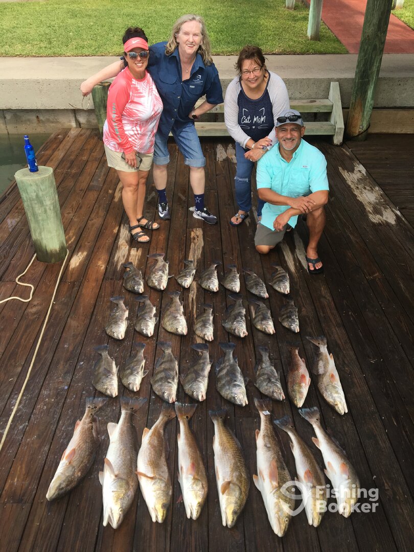 Nice box of fish!