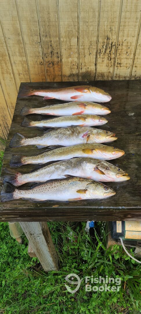 Panama City Report Photo 0