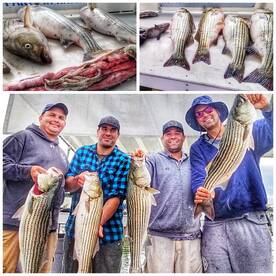 Montauk Report Photo 1