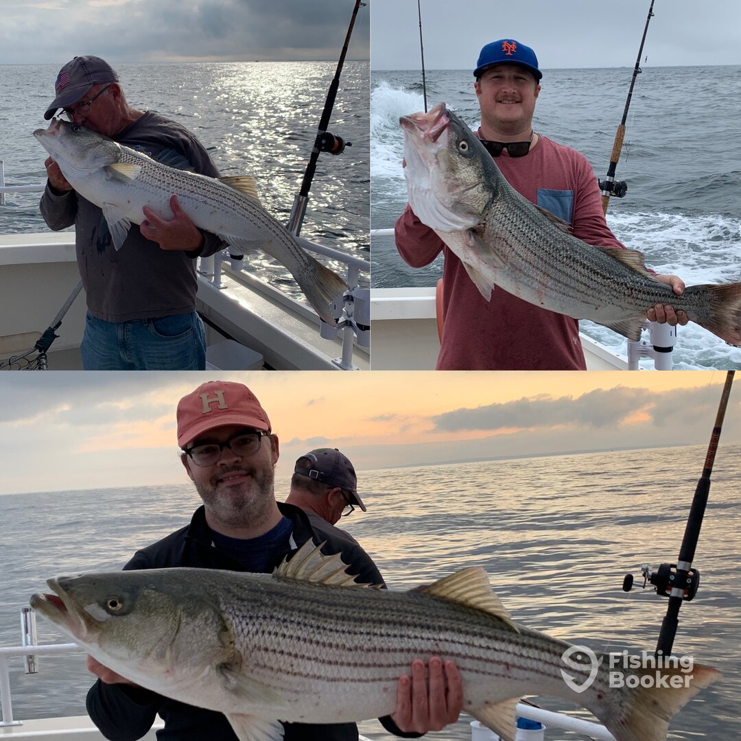 Montauk Report Photo 0