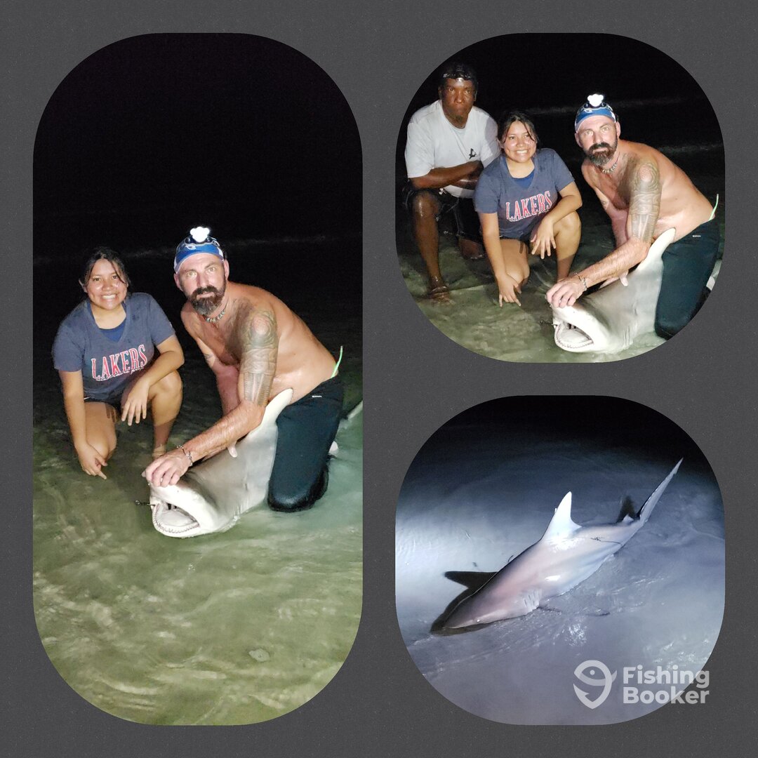 New Smyrna Beach Report Photo 0