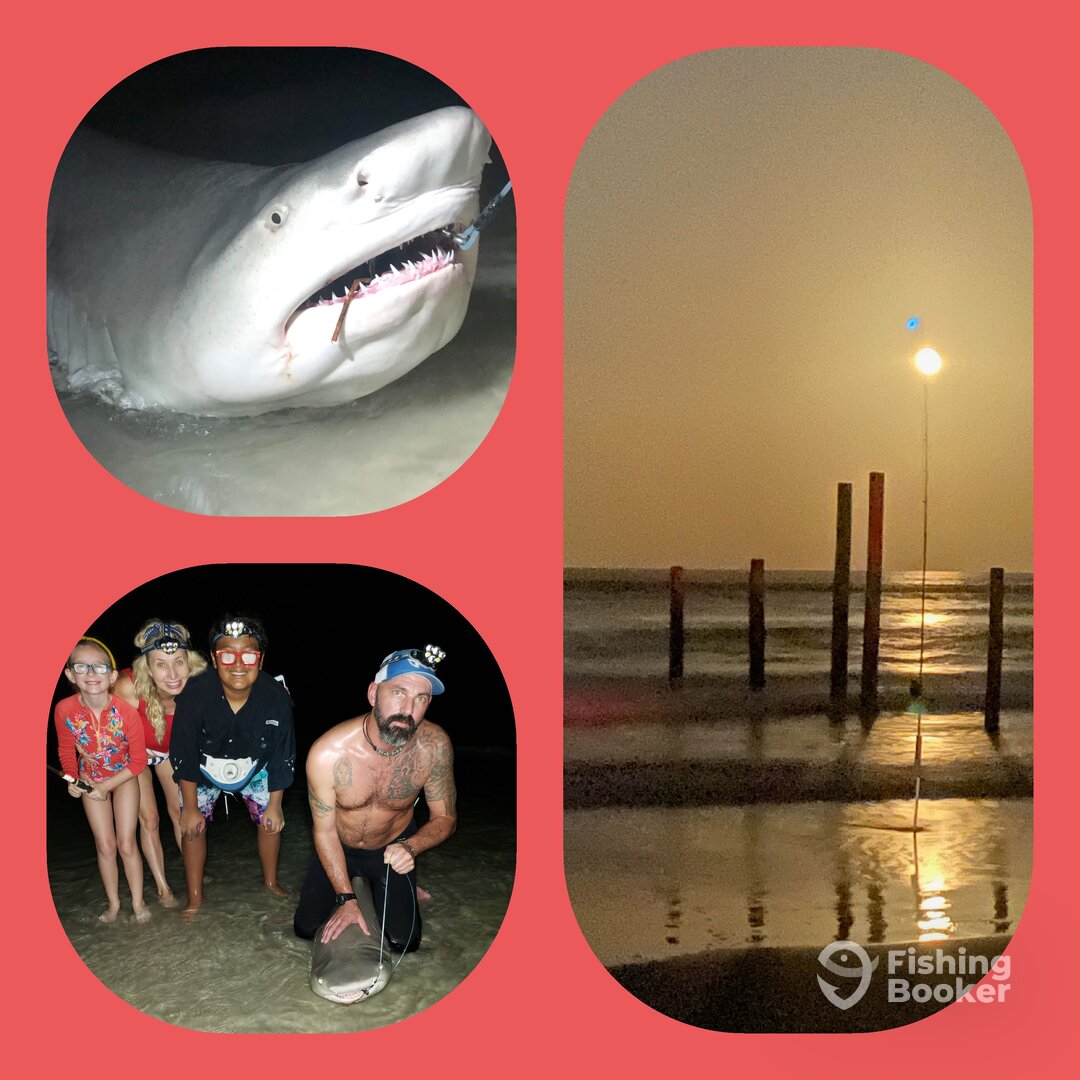 New Smyrna Beach Report Photo 0