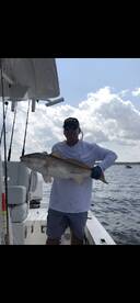 Jacksonville Report Photo 2