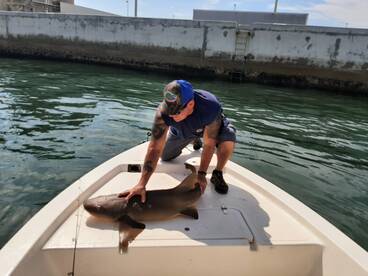 Port Canaveral Report Photo 2