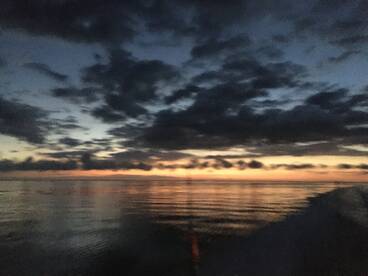 Homosassa Report Photo 1
