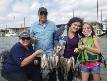 Grapevine Report Photo 1