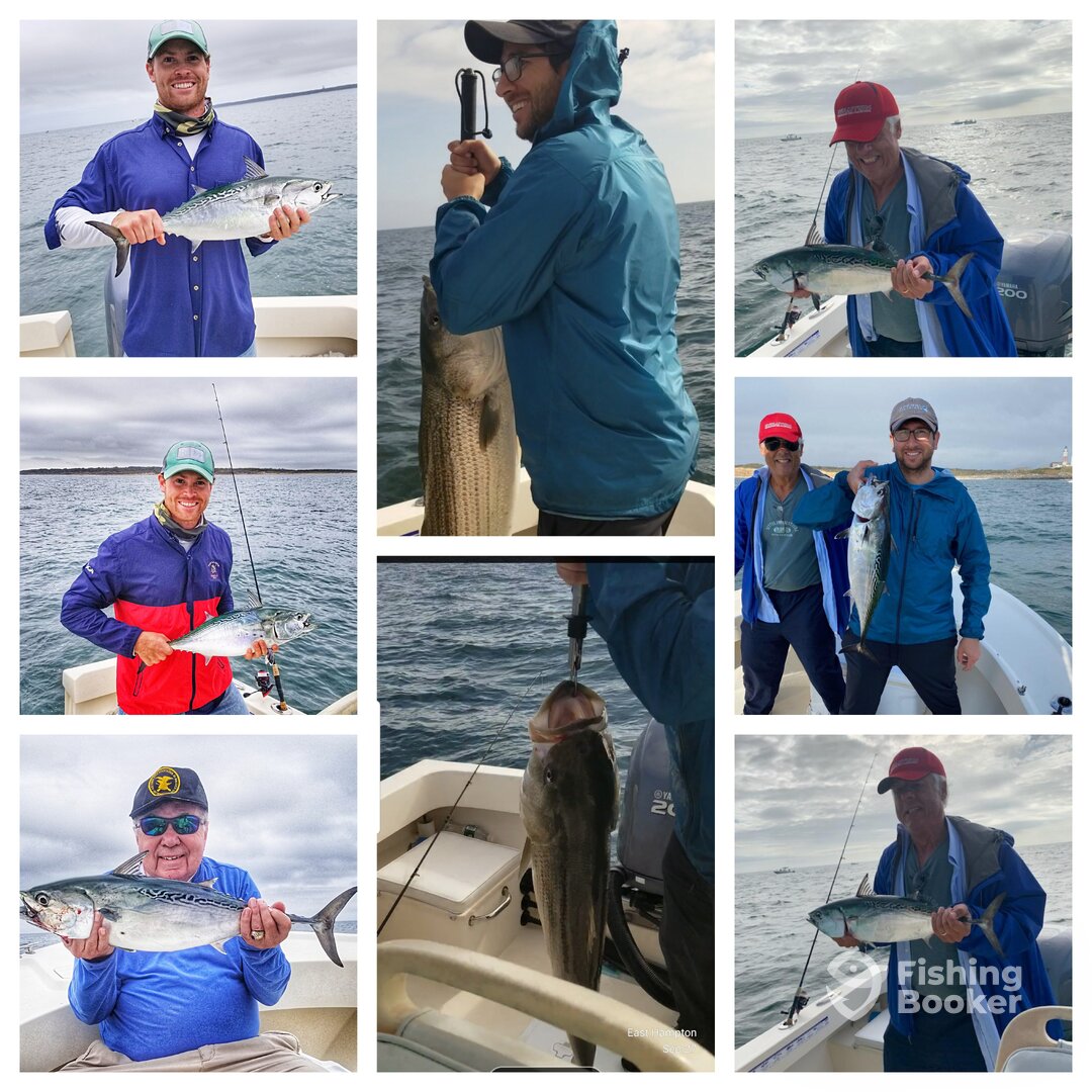 Montauk Report Photo 0