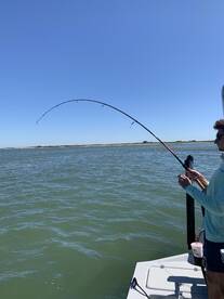 Solid slot reds today