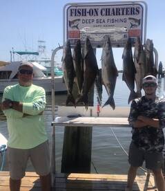 2020 Fall Cobia Migration