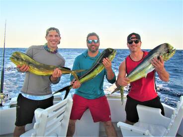 Cabo San Lucas Report Photo 2