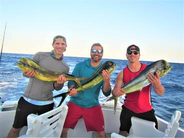 Cabo San Lucas Report Photo 1