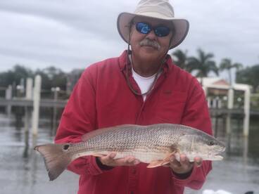 Venice Report Photo 1