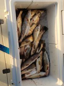 Fall Fishing in October 