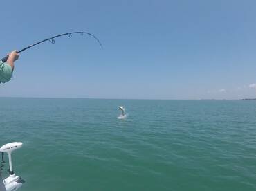 Tarpon Fishing
