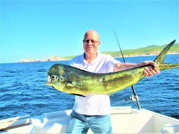 Cabo San Lucas Report Photo 2