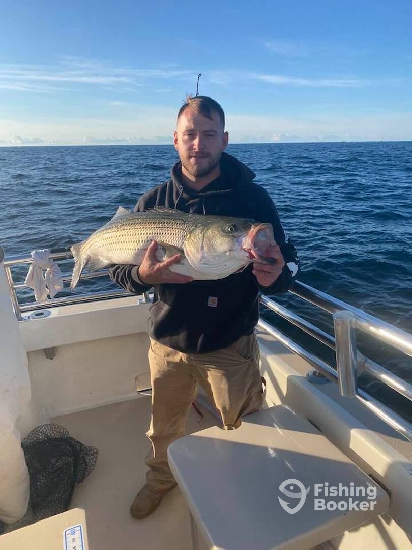 Montauk Report Photo 0