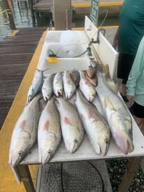 Goodland Report Photo 2