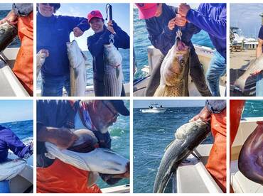 It was a slam dunk yesterday with fish t