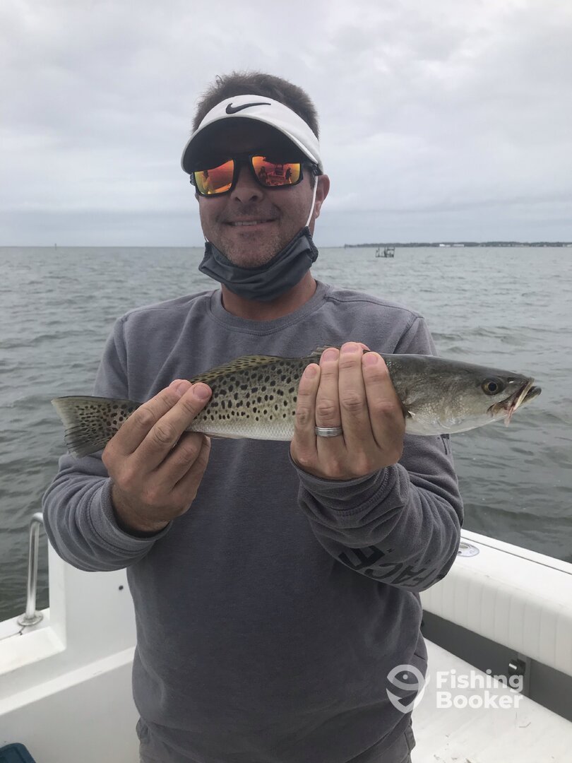Manteo Report Photo 0