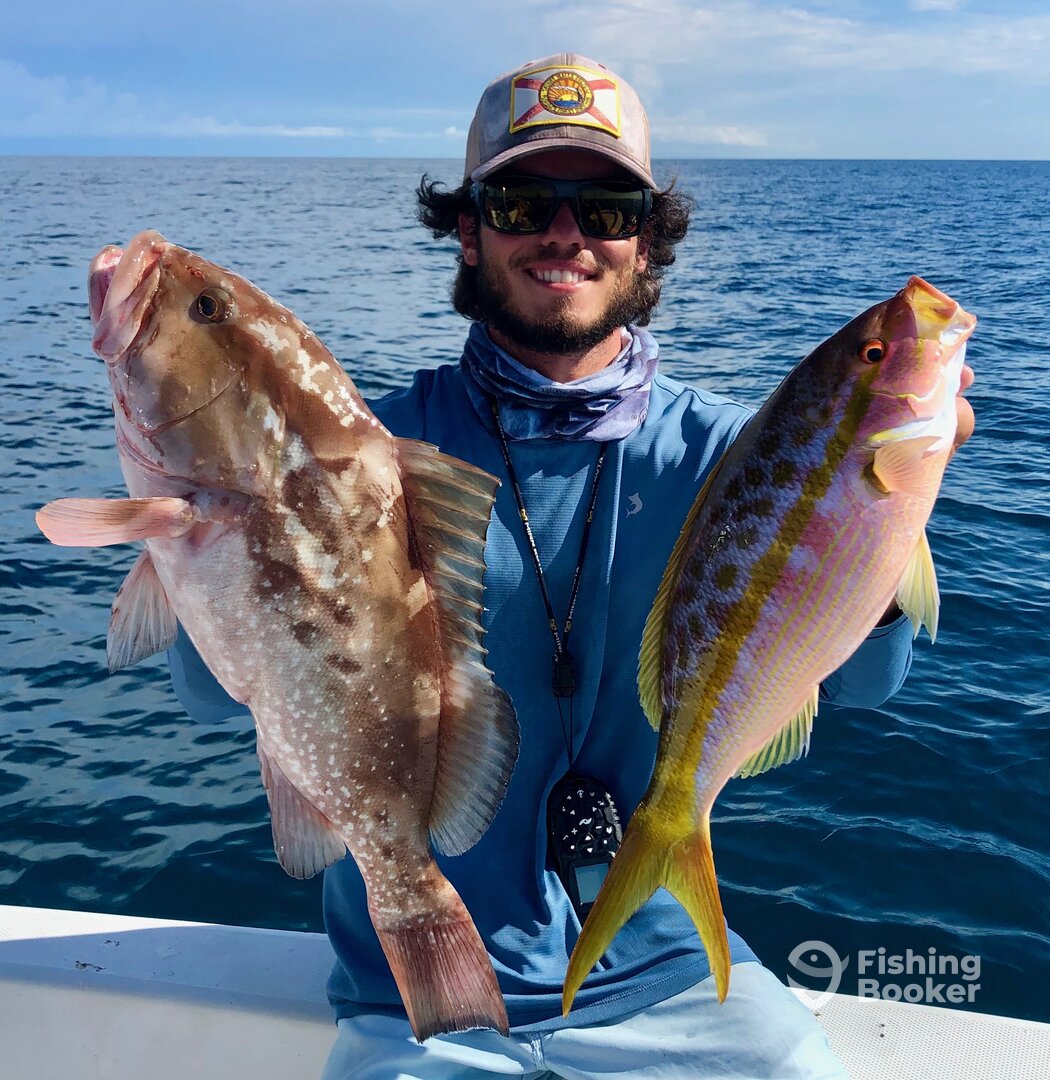 Sarasota Report Photo 0