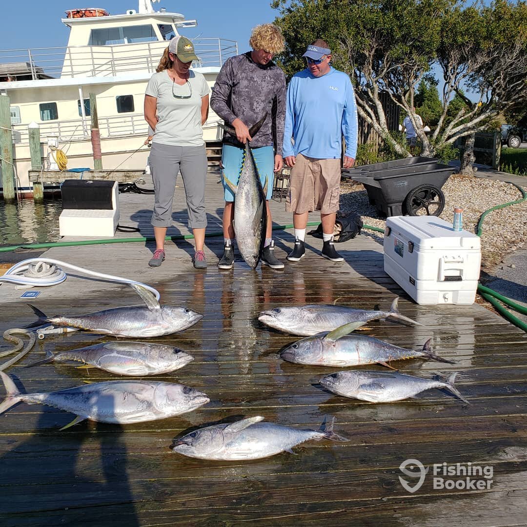 Manteo Report Photo 0