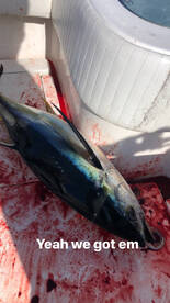 Fishing has been red hot!