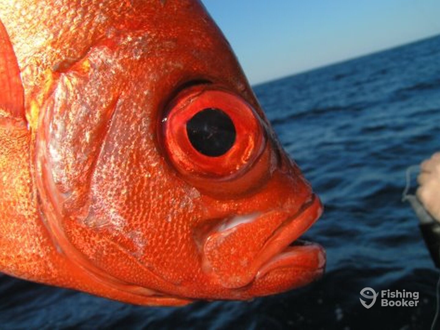 Hatteras Report Photo 0
