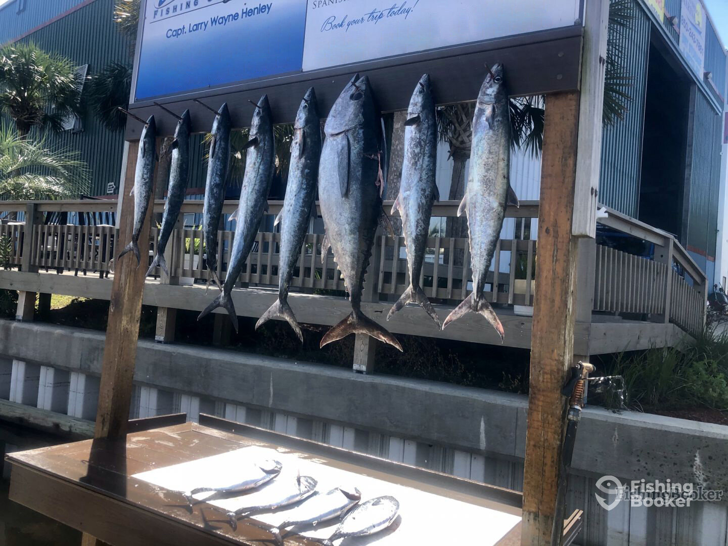 Destin Report Photo 0