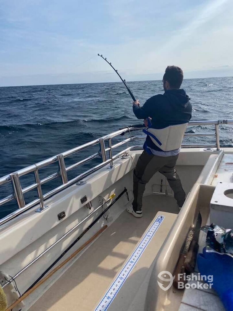 Montauk Report Photo 0