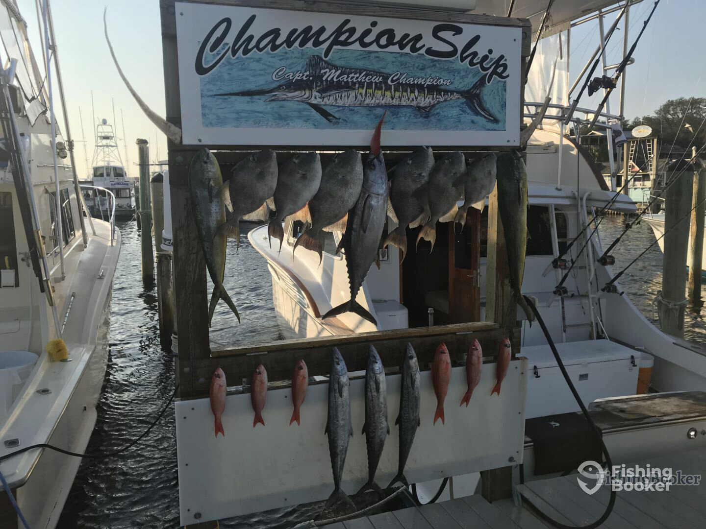 Destin Report Photo 0