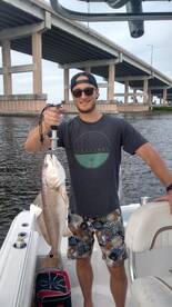 New Smyrna Beach Report Photo 1