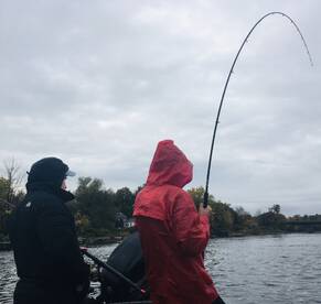 Oswego Report Photo 2