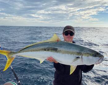 Sydney Report Photo 1