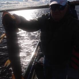 Fred's first Muskie at age 82