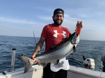 2020 was a great year! 2021 is going to 