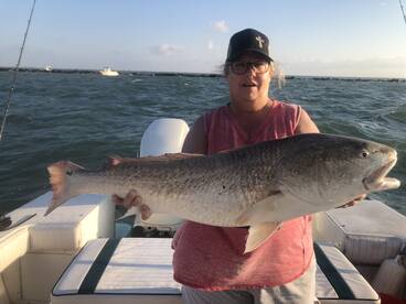 Galveston Report Photo 2