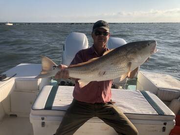 Galveston Report Photo 1