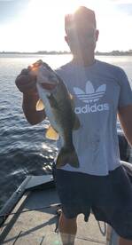 Orlando Report Photo 2